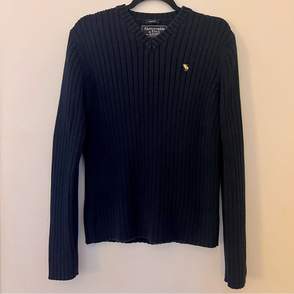 SOLD Y2K Abercrombie & Fitch Muscle Fit V-neck Sweater Men’s Blue and Yllw Moose